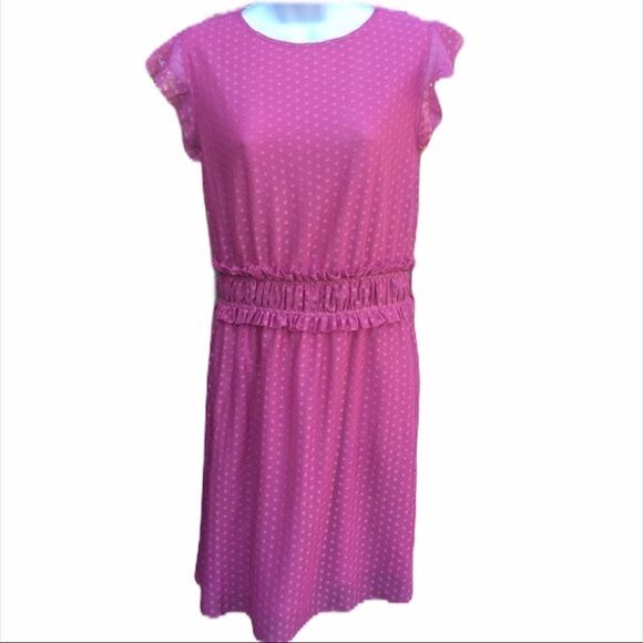 🆕Ella Moon Small mauve lace overlay dress - Picture 1 of 8